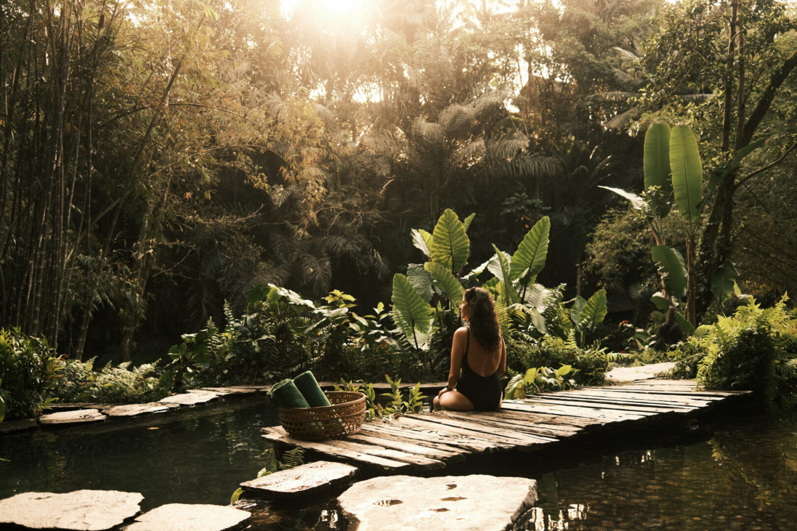 Serene forest pond with sunlight