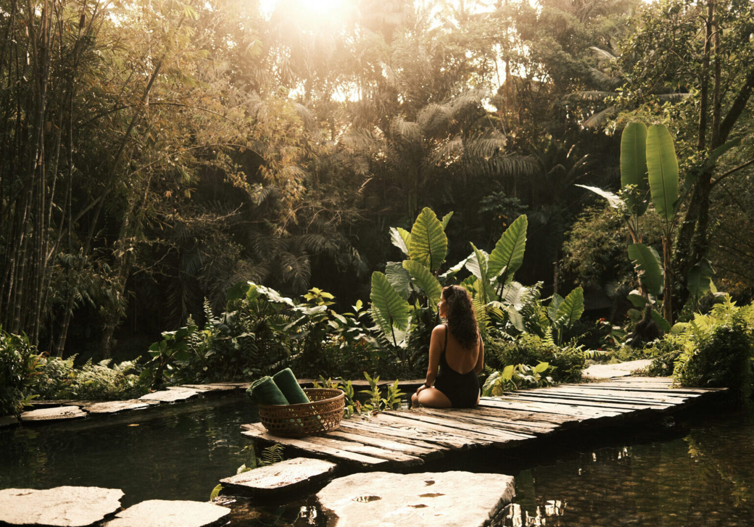 Serene forest pond with sunlight